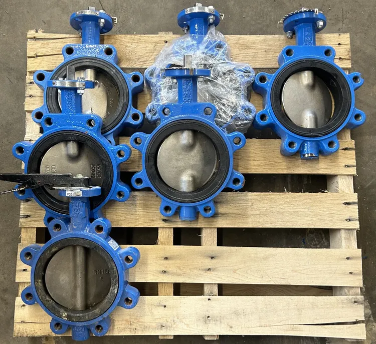 Used Pratt 6" Lug Butterfly Valve Valves/Fittings US | CMS #1135240