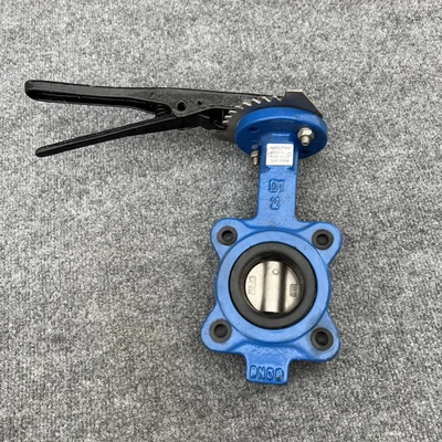 New | in-Stock WHEATLEY BFV-030L Pump & Valve Parts California US | Davliegogo LLC #1706944