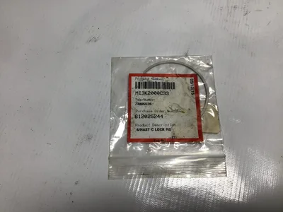 Flowserve Durco MI3K2000C33 6/HASTELLOY C LOCK RING