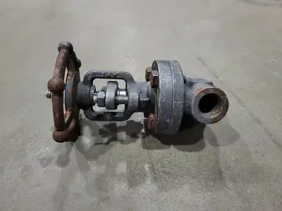1/2" Class 800 Gate Valve B16.34
