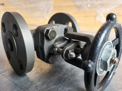 3/4" Class 150 Gate Valve B16.34