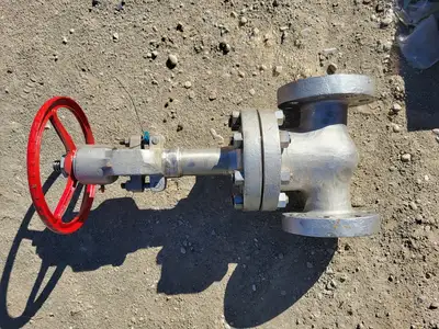 3" Class 900 Globe Valve B16.34