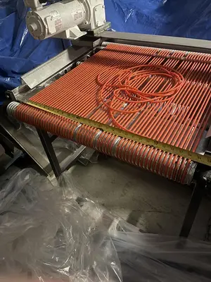 Berry Sizing Conveyor