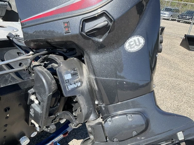 USED 2017 STARCRAFT RENEGADE 168