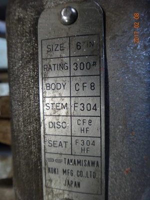 Takamisawa 6", Class 300, CF8, Gate Valve