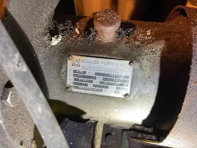USED GOULDS 3196