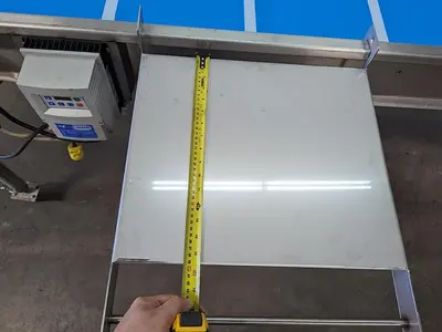 Custom 10' Conveyor with Removable Packaging Tables