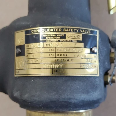 New | in-Stock Dresser 1541F Valves/Fittings Indiana US | J&J Industrial Supply #1073860