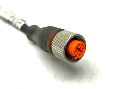 RST 4-RKT 4-225/0.3M | Lumberg  Double Ended Cordset 0.3m Length - Used