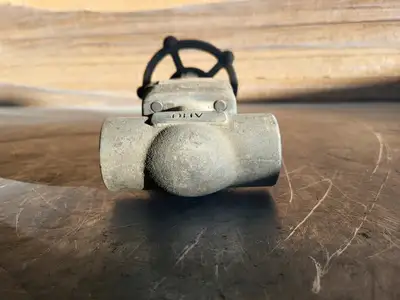 2018 1" Class 800 Gate Valve API 602