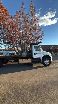 2012 FREIGHTLINER BUSINESS CLASS M2 Tractors & Trailers | Global Machine Brokers, LLC (9)