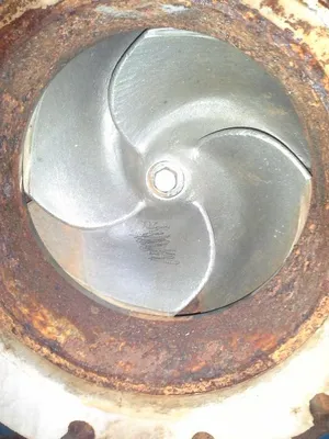 USED Goulds 3175
