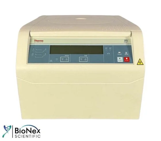 Used THERMO FISHER SCIENTIFIC SORVALL ST8 Lab Centrifuges New Jersey US | Bionex Scientific LLC #799864