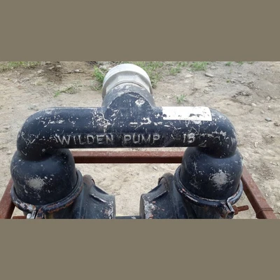 Wilden M15 Duplex Diaphragm Pump