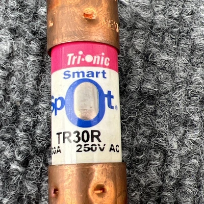 Used Ferraz Shawmut TR30R Fuses California US | Davliegogo LLC #1706167