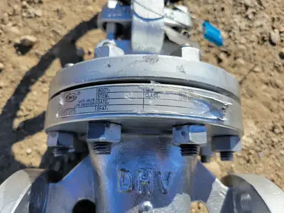 2" Class 300 Gate Valve B16.34