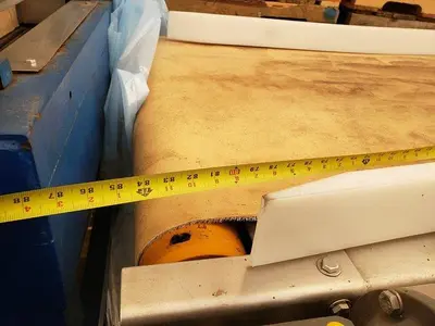 7' Berry Inspection Conveyor