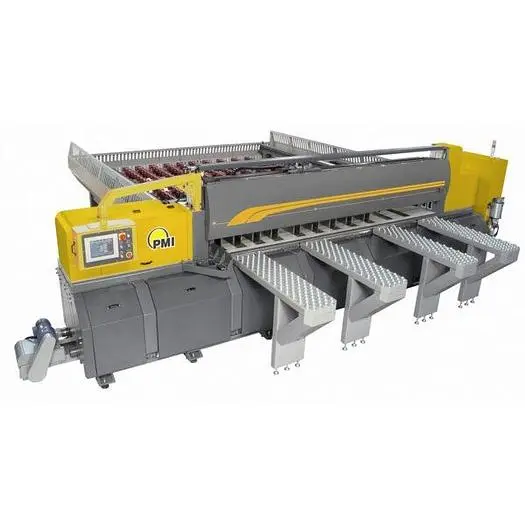 PMI-T1 Fully Automatic Plate Saw