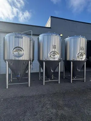 USED 2023 CASSMAN BREWING EQUIPMENT 30FV