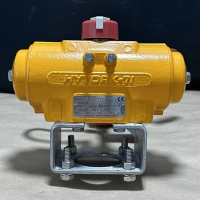NEW Emerson HYTORK EIA-XL0071-DAG-A00