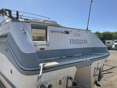 Used 1988 SEA RAY SORRENTO 25 Boats (Misc) Michigan US | Miedema Asset Management Group #1384746