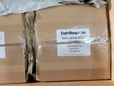 NEW EAGLE BURGMANN HSHJ42S3/80-G179.1