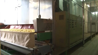 PAVAN, Italy Pasta Production Plant, in full working order, still in use, visible under power in dry running, videos, POA