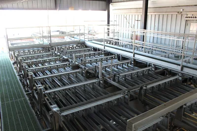 Produce Grade Sizer