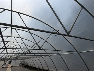 Used _UNKNOWN_ _UNKNOWN_ Greenhouse Equipment Michigan US | Miedema Asset Management Group #1396087