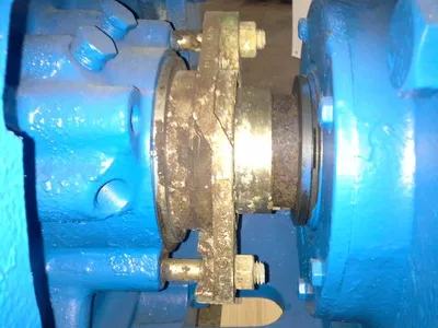 USED Goulds 3175