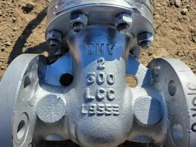 2" Class 300 Gate Valve B16.34