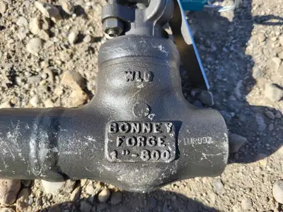 NEW BONNEY FORGE WL 1L3SNACE-LE