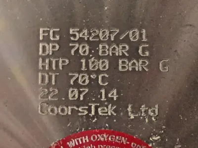 FlowGuard Pulsation Dampener FG 54207/01 FD-20-70-NTF-SS-A-1" NPT CoorsTek