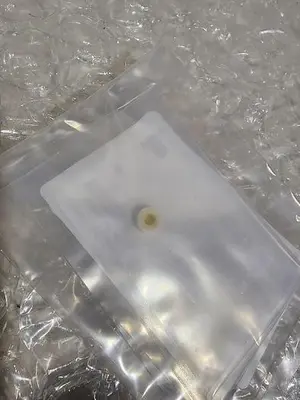 CLEAN PART GASKET, CERAMIC, SHIELDED SCREW 102205356