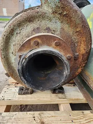 USED GOULDS 3196