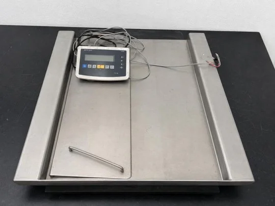 Used METTLER - TOLEDO AG285 Platform Scales New Jersey US | Bionex Scientific LLC #1353596
