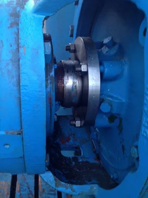USED Goulds 3175L