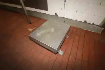 fairbanks scale