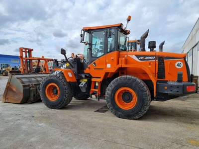 USED 2019 Doosan DL250-5