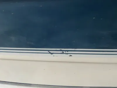 USED 1987 RINKER FIESTA VEE 250