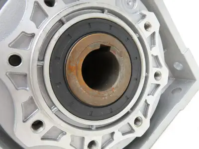Jiangyin Guoliang NMRV 090 Worm Gearbox 25:1 Reducer 60 RPM Hollow Shaft