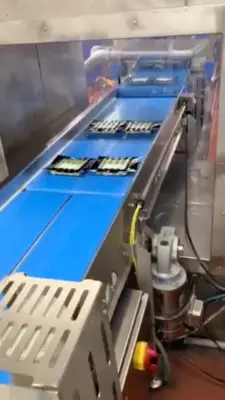 USED CUSTOM BUILT CONVEYOR