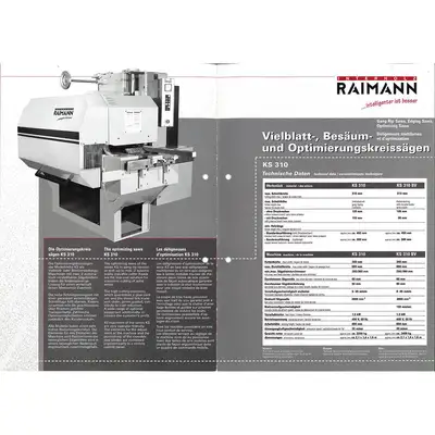 Used RAIMANN _UNKNOWN_ Woodworking Gang Saws Pennsylvania US | Highland Automation #1298374