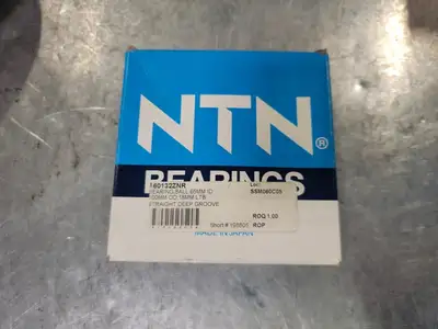 Deep Groove Ball Bearing 6013ZZNR