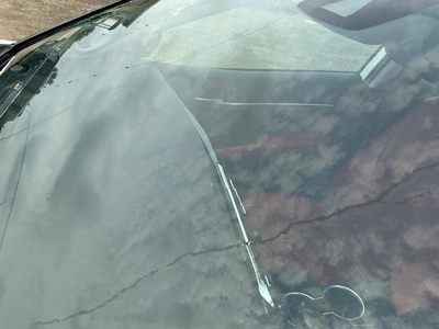 Used 2019 TOYOTA CAMRY Cars Michigan US | Miedema Asset Management Group #1325785