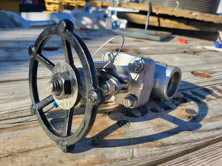 Used 2019 CHAODA VALVES GROUP API 602 Valves/Fittings British Columbia CA | Lenmark #256782