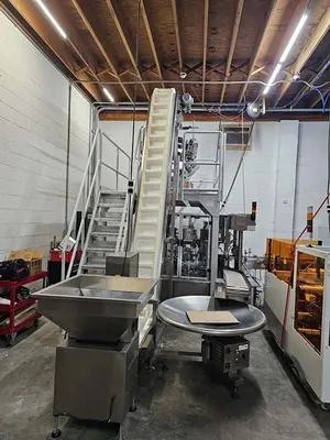 Used SHENZHEN _UNKNOWN_ Vertical Form Fill Sealing Machines (VFFS) Delaware US | UNION STANDARD EQUIPMENT CO. #1329238