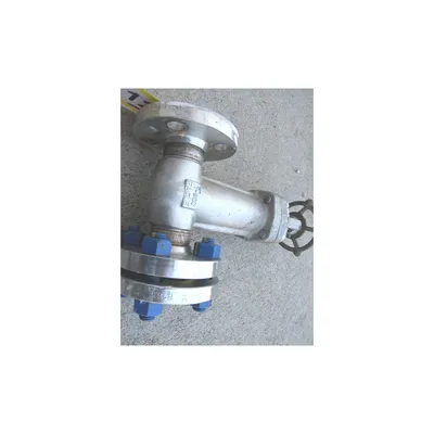 Eagle America 1" Forged Stainless Steel Gate Valve - W8 Series