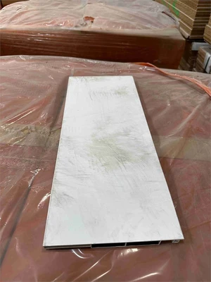 Used SALICE SIDE PROFILE H178 MM WHITE 2 SIDED Misc Woodworking Parts Florida US | MachineryMax #1437885