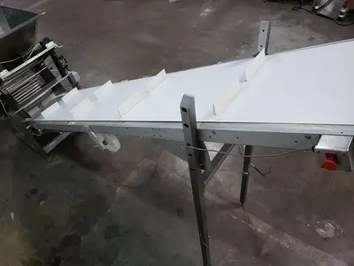 CMI Guillotine Hopper & Incline Conveyor